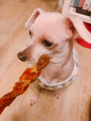 [펫토리아] 뚝딱뚝딱 400g 강아지 간식 베스트5종 — 4.5점을 준 리뷰어가 2019년 1월 올린 사용 사진