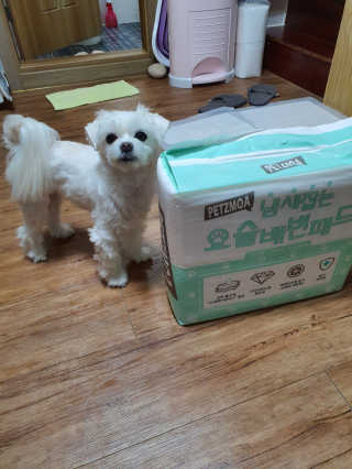 뽀오오옹님이 올린 리뷰 사진 3