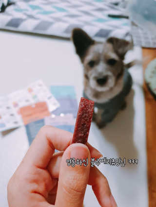 푸디웜 주식회사 [푸디웜] 강아지 저알러지 수제간식 3종세트 — 5점을 준 리뷰어가 2018년 11월 올린 사용 사진