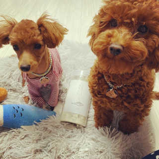 칸쵸님이 올린 리뷰 사진 2