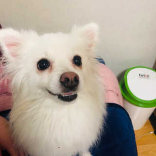 밍또님이 올린 리뷰 사진 4