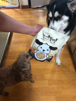 [펫토리아] 맛도 영양도 BEST 한끼뚝딱 강아지 사료 — 5점을 준 리뷰어가 2019년 4월 올린 사용 사진