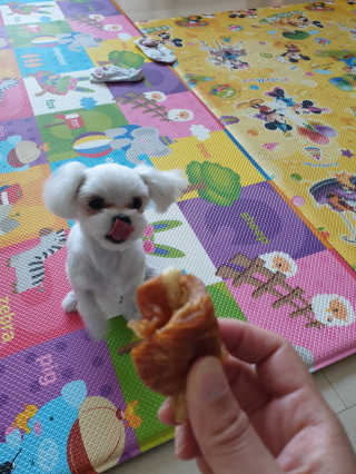 삐랭이님이 올린 리뷰 사진 2