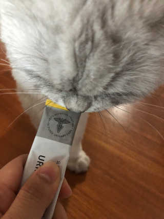 hyesu님이 올린 리뷰 사진 3