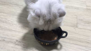 김가람님이 올린 리뷰 사진 3