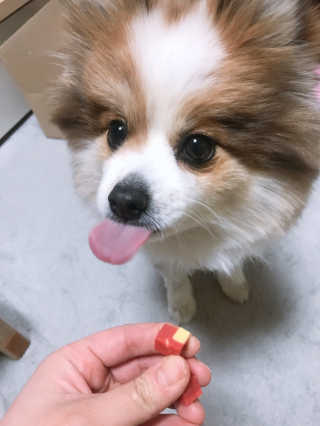 YiseulJeon님이 올린 리뷰 사진 4