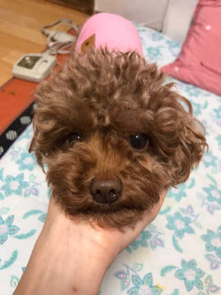 레비나님이 올린 리뷰 사진 3