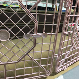 유댕딩님이 올린 리뷰 사진 2