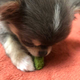 집순이님이 올린 리뷰 사진 3