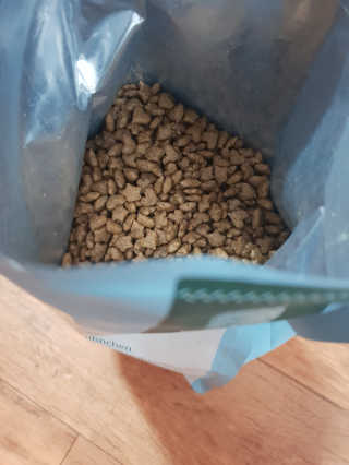 그린펫푸드 인섹트캣 글루텐프리（1.2KG） — 5점을 준 리뷰어가 2019년 7월 올린 사용 사진