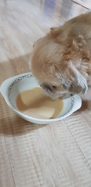 엘리님이 올린 리뷰 사진 2