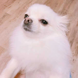 박지혜님이 올린 리뷰 사진 3