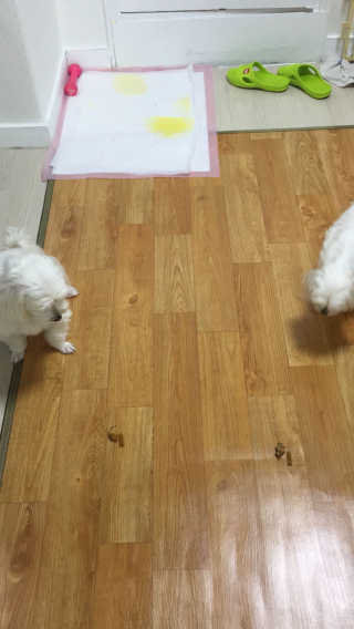 홍지윤님이 올린 리뷰 사진 1