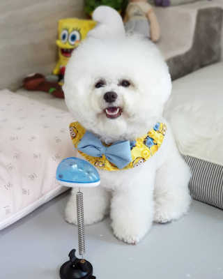 보리야꼬님이 올린 리뷰 사진 2