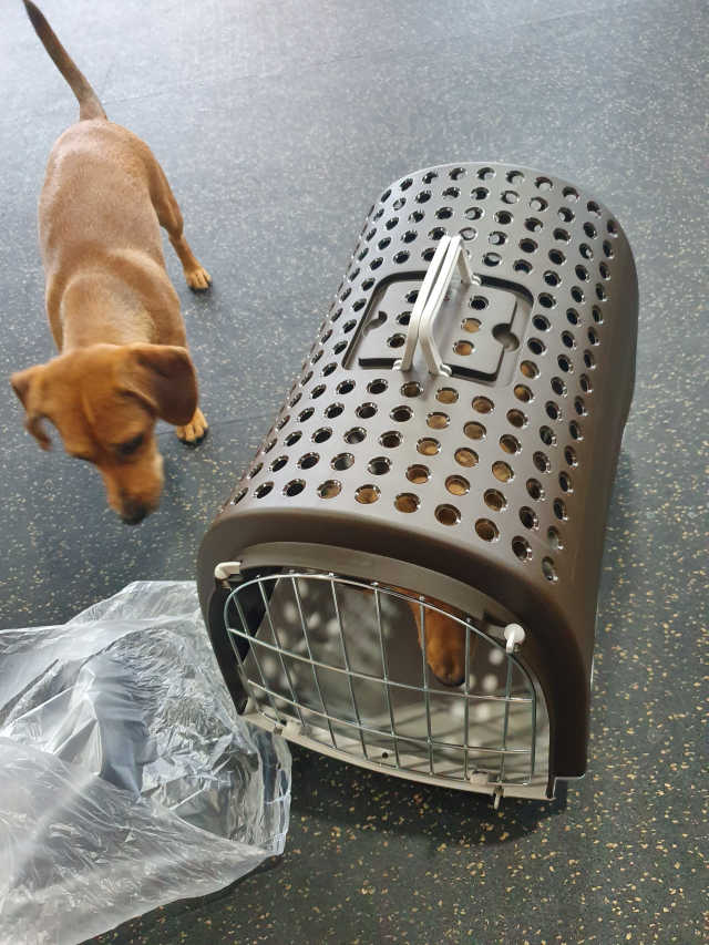 아이맥  리누스캐리어 반려동물 고양이,강아지 이동장 리뷰 사진