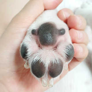 볼빨강한비지님이 올린 리뷰 사진 3