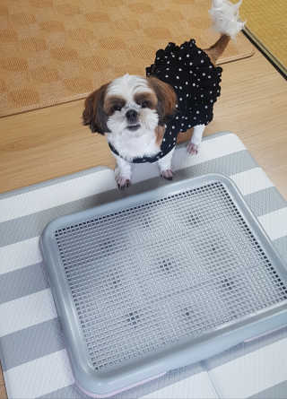 신지님이 올린 리뷰 사진 1
