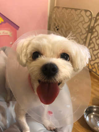 마틸다님이 올린 리뷰 사진 4