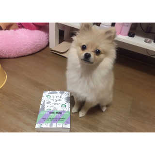 강효진님이 올린 리뷰 사진 1