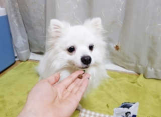 으니님이 올린 리뷰 사진 3