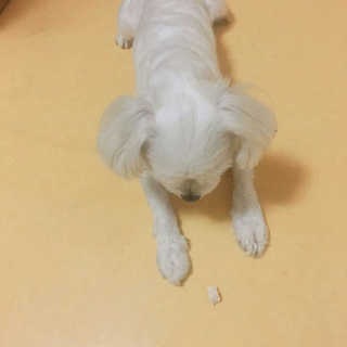 윤하영님이 올린 리뷰 사진 2