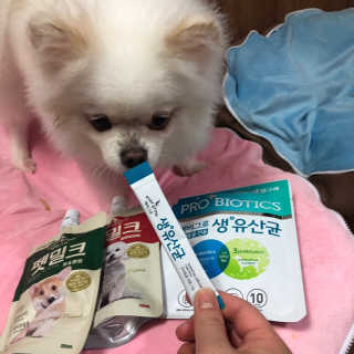 [빙그레] 에버그로 생유산균 1봉（10포입）+펫밀크2팩 — 5점을 준 리뷰어가 2019년 5월 올린 사용 사진