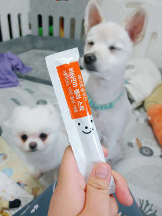 또미님이 올린 리뷰 사진 2