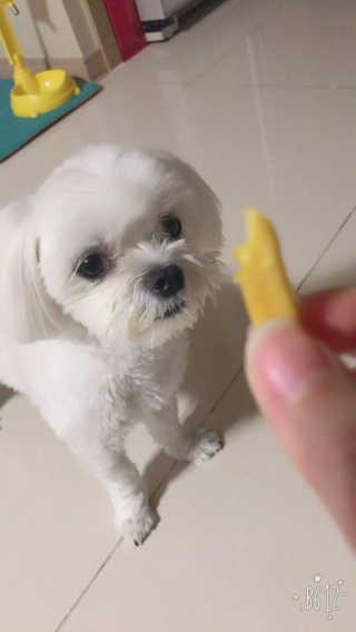ParkSeRi님이 올린 리뷰 사진 1