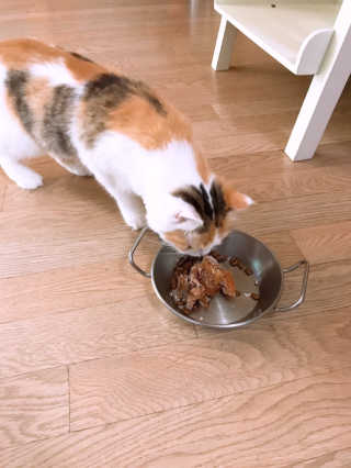 민댕댕이님이 올린 리뷰 사진 1