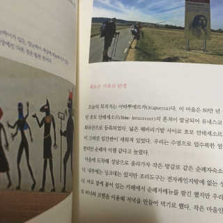 영주님이 올린 리뷰 사진 1