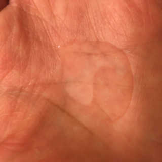 Pamperurselfgreen님이 올린 리뷰 사진 1