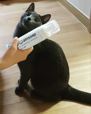 쿠로님이 올린 리뷰 사진 1