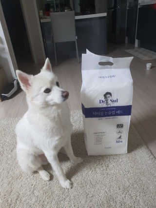 SooYeonKim님이 올린 리뷰 사진 1