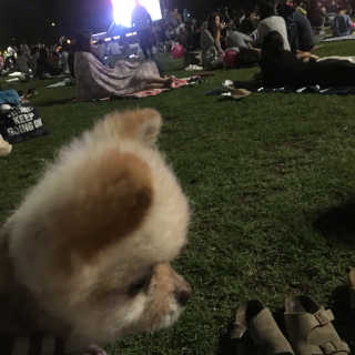 muzibom님이 올린 리뷰 사진 1