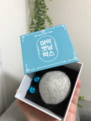 꽃살롱님이 올린 리뷰 사진 3