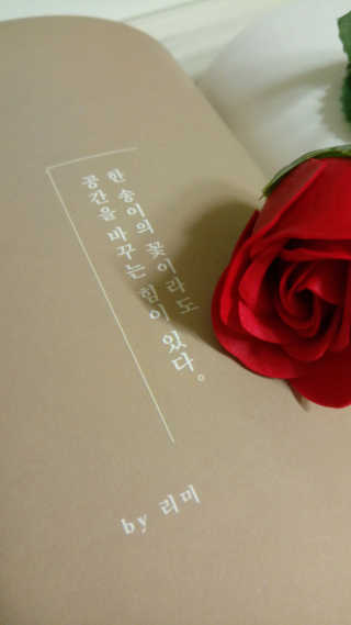 다식이님이 올린 리뷰 사진 4