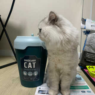 강혤님이 올린 리뷰 사진 2