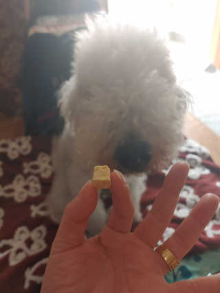 하루콩콩님이 올린 리뷰 사진 3