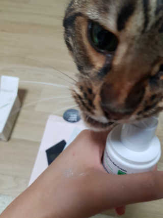 GyeongAeLee님이 올린 리뷰 사진 2