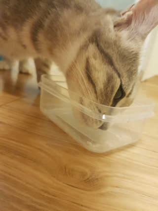 주깽쓰님이 올린 리뷰 사진 1