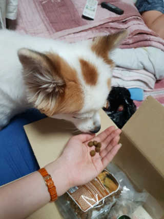 EunsolKim님이 올린 리뷰 사진 4