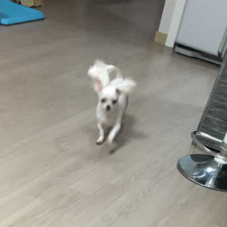 임하연님이 올린 리뷰 사진 3