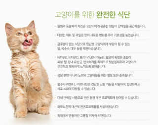 킴귤님이 올린 리뷰 사진 3