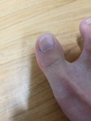 개나리빵님이 올린 리뷰 사진 3