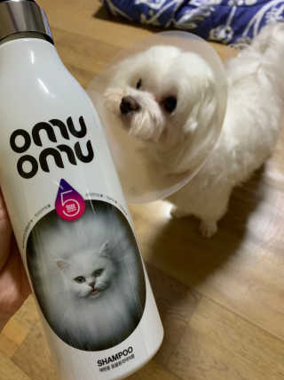 뿌잉꾸님이 올린 리뷰 사진 3