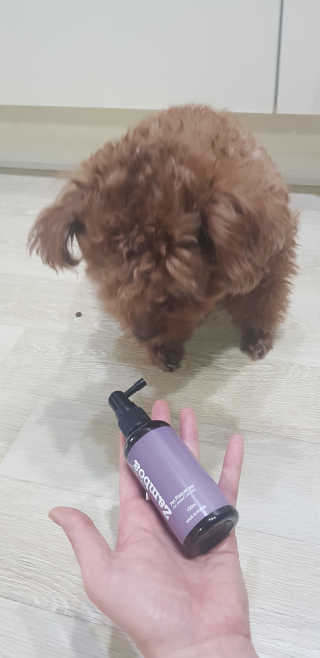 희야님이 올린 리뷰 사진 3