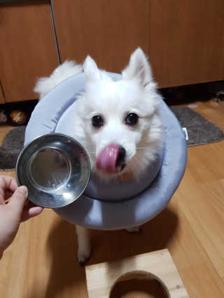 블리블리♡은블리♡님이 올린 리뷰 사진 3