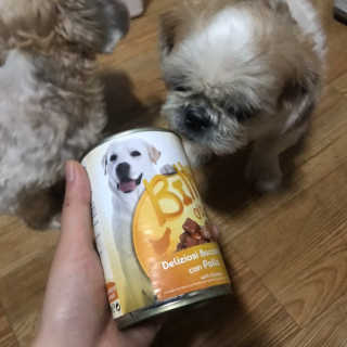 [펫토리아]배피 고양이,빌리강아지 대용량주식캔 — 4점을 준 리뷰어가 2019년 7월 올린 사용 사진