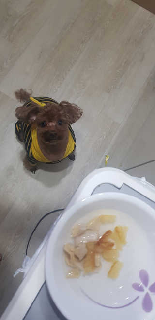 희야님이 올린 리뷰 사진 1