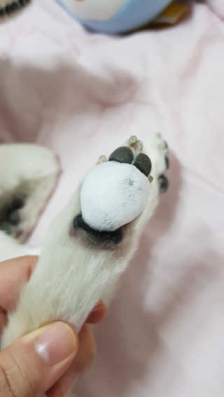 블리블리♡은블리♡님이 올린 리뷰 사진 2